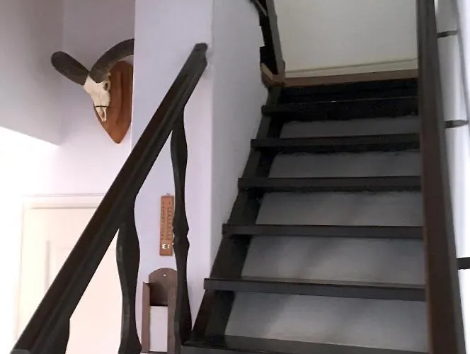 Macko Nyaralo Feriehus *